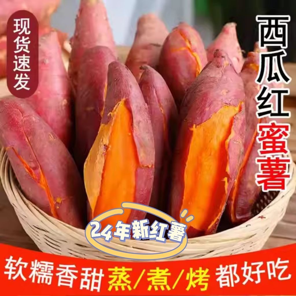 红蜜薯地瓜新鲜种植种子蜜紫薯沙地烤蜜薯红白糖心西瓜红番烟薯秧