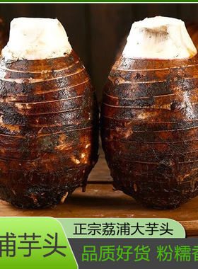 广西正宗荔浦芋头竽头新鲜大芋头特价利浦荔甫荔蒲玉头0特级香芋