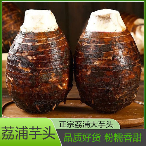 广西正宗荔浦芋头竽头新鲜大芋头特价利浦荔甫荔蒲玉头0特级香芋