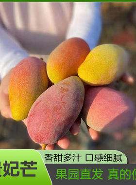 特水果广西贵妃芒香甜芒果新鲜水果当季红金玉青煌台非辣椒芒整箱