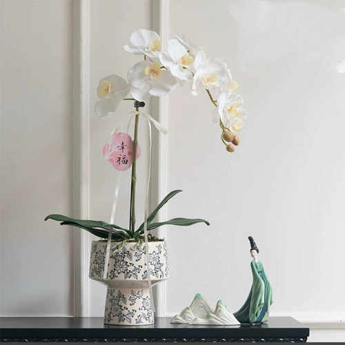 青花瓷纹蝴蝶兰陶瓷花盆中国风室内装饰复古瓷器绿植花卉通用盆