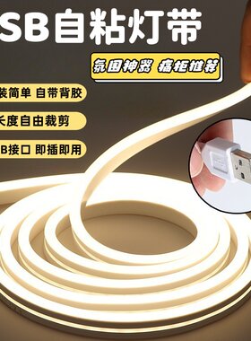5v低压自粘USB插电款氛围灯条
