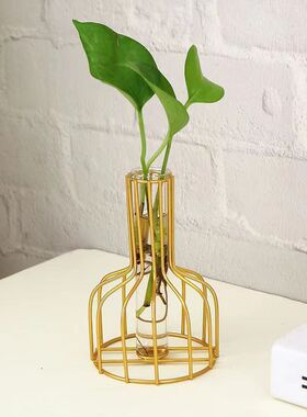 北欧网红铁艺水培小花瓶