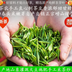 2026正宗青岛崂山绿茶茗苑春新茶明前特级手工碧螺春浓香礼盒500g