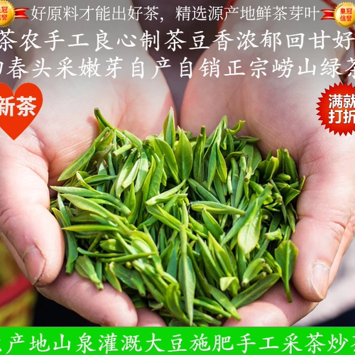 青岛崂山绿茶茗苑春2025大田春茶