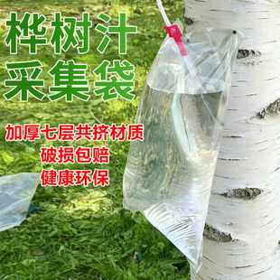 加厚防爆桦树汁袋密封植物液体采集袋新款升级桦树汁原液采集袋子