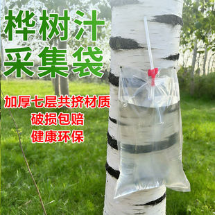 桦树汁采集袋加厚密封液体包装袋园林挂耳式树汁采集袋盆栽蓄水袋