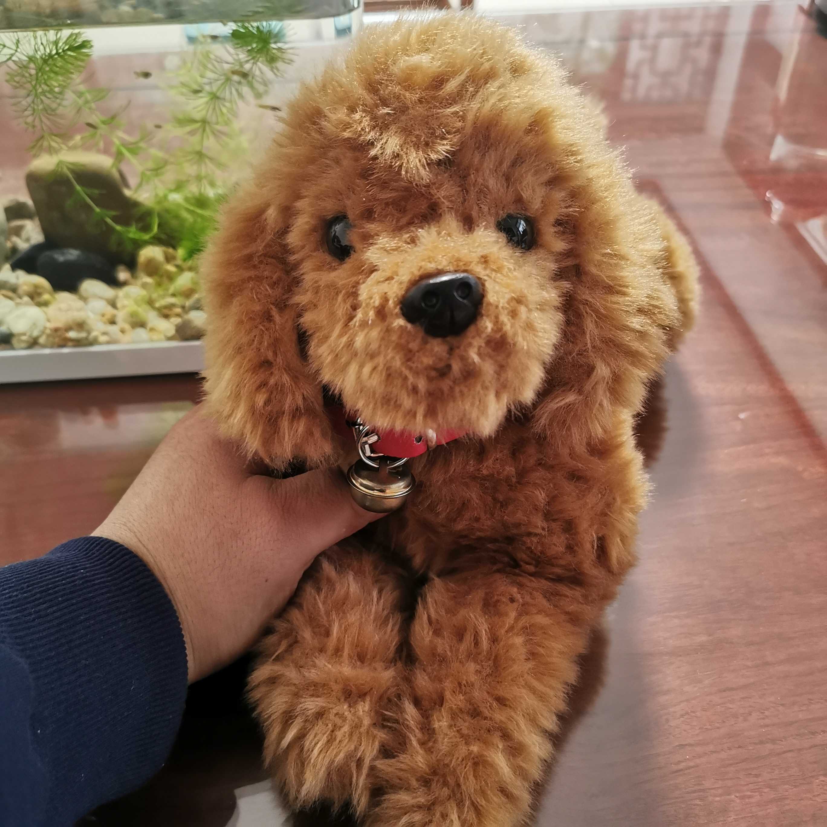 仿真狗狗泰迪狗公仔贵宾犬玩偶