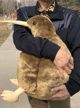 大KIWI几维鸟公仔抱枕 几维鸟毛绒玩具 仿真动物毛绒玩具父亲礼物