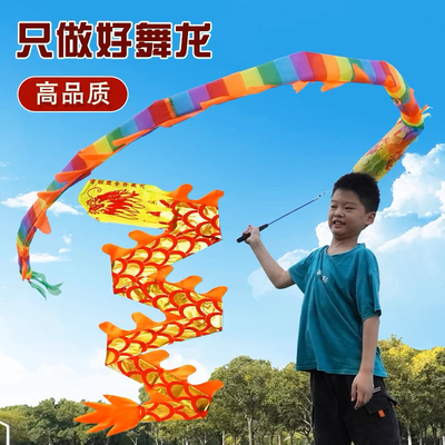 舞龙彩带健身儿童甩甩龙道具广场彩带舞龙耍表演初学杆甩空竹龙