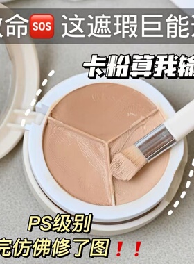 彩妆工具粉扑三文鱼遮黑烟圈斑点