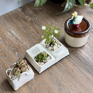 复古书本小提包花器多肉花盆可爱摆件球根块植物杂货盆器桌面花园