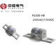 中熔电动汽车保险丝新能源RS308 HB2G16A50A63A80A100A250VDC熔芯