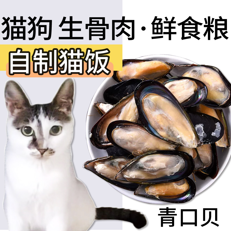 冷冻青口贝1斤装猫狗鲜食