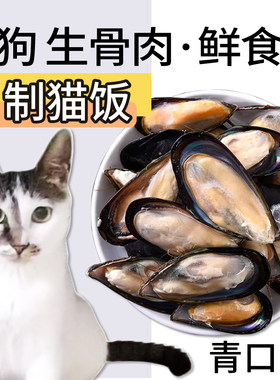 冷冻青口贝1斤装猫狗鲜食