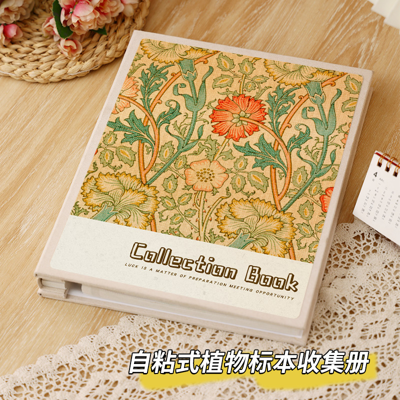 压花标本收集册干花树叶春天