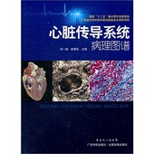 心脏传导系统病历图谱