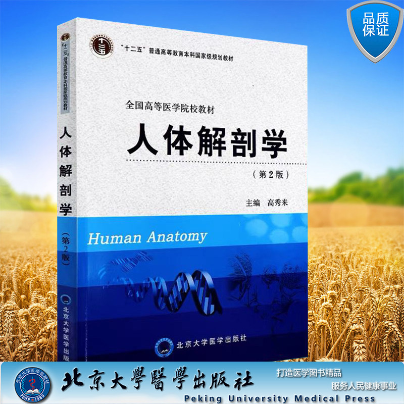 人体解剖学 第2版 基础医学/五年制 十一五教材 主编高秀来北京大学医学出版社9787811167177