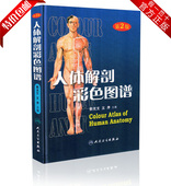 解刨郭光文2017全彩搭奈特人体解剖学彩色图谱教材书 二版 西医解剖学外科医生用书 人体解剖彩色图谱第2版 人卫版