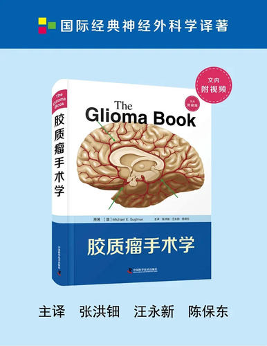 现货 胶质瘤手术学 国际经典神经外科学译著 张洪钿 汪永新 陈保东中国科学技术出版社9787504697028