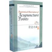 Anatomical 第2版 Second Points 针灸穴位图解 人民卫生出版 社 Edition Illustration Acupuncture 现货 正版