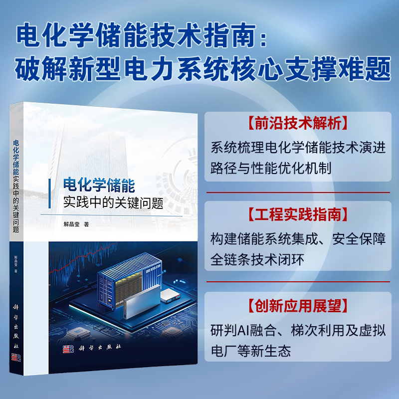 正版全新 平装 电化学储能实践中的关键问题 解晶莹 科学出版社 9787030826817