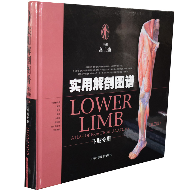 现货实用解剖图谱下肢