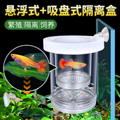 孔雀鱼小鱼繁殖隔离盒鱼缸鱼苗分隔网凤尾鱼孕母鱼孵化器生产专用