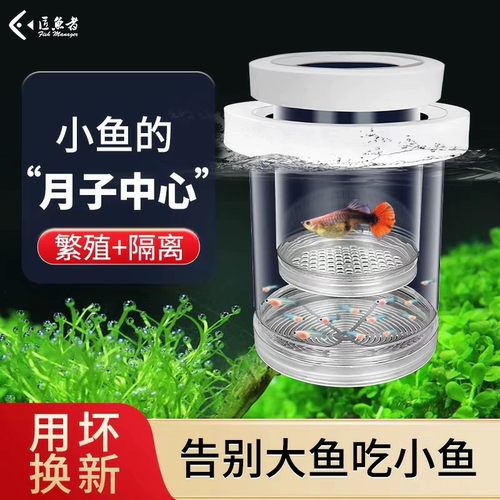 孔雀鱼隔离繁殖盒小鱼下崽分离器小型鱼卵鱼苗斑马鱼斗鱼缸内水族