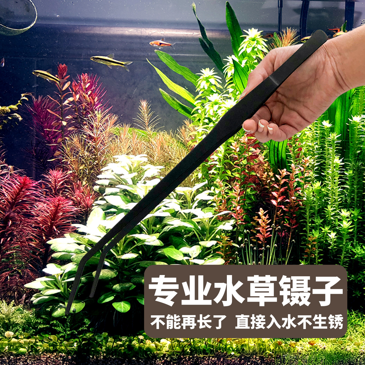 草缸造景水草剪刀不锈钢加长镊子夹子全套工具波浪剪刮藻刀平沙铲
