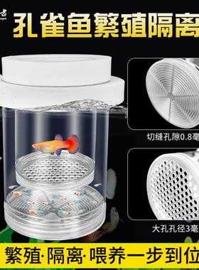 鱼缸隔离盒孔雀鱼繁殖盒凤尾斑马母鱼产房小鱼缸内胎生鱼幼鱼孵化
