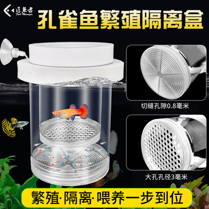 鱼缸隔离盒孔雀鱼繁殖盒凤尾斑马母鱼产房小鱼缸内胎生鱼幼鱼孵化