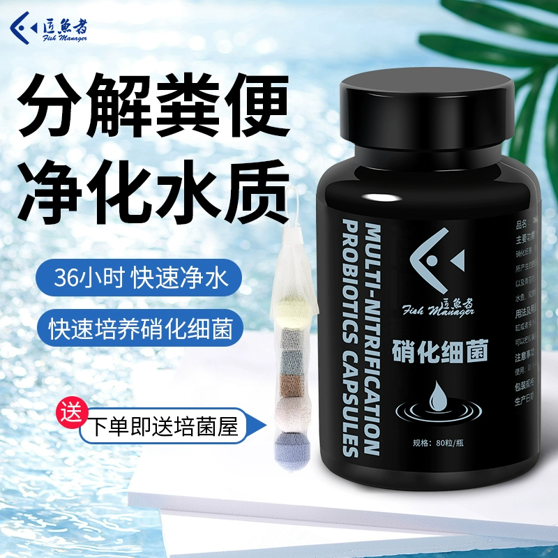 匠鱼者硝化细菌胶囊浓缩胶囊干粉