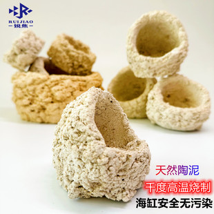 奶嘴海葵山窝珊瑚防跑躲避罐支架基座爪哇基拉戈干岩石锐焦造景