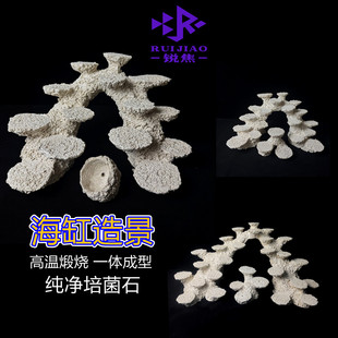 海缸拱桥造景珊瑚缸陪菌石40 50 60 90 人工一体成型