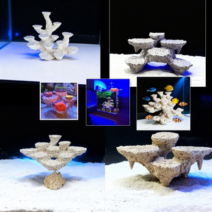2030海缸造景边补景小缸微缸免暴藻培菌石人造死石爪哇基拉戈定制