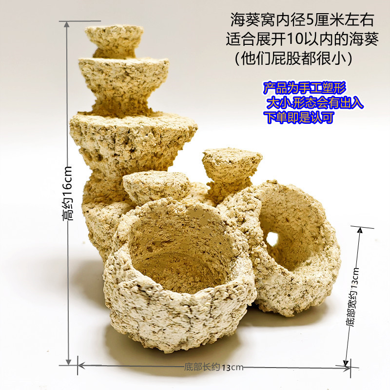 海葵窝造景小缸2030405方缸微珊瑚缸海葵爪哇基拉戈干岩石锐焦