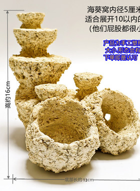 海葵窝造景小缸2030405方缸微珊瑚缸海葵爪哇基拉戈干岩石锐焦