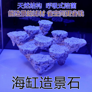 20方30海缸造景边景小缸微缸免暴藻培菌石人造死石爪哇基拉戈锐焦