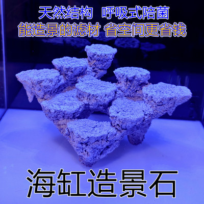 20方30海缸造景边景小缸微缸免暴藻培菌石人造死石爪哇基拉戈锐焦