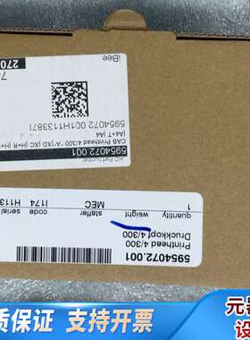 CAB打印头5954072.001