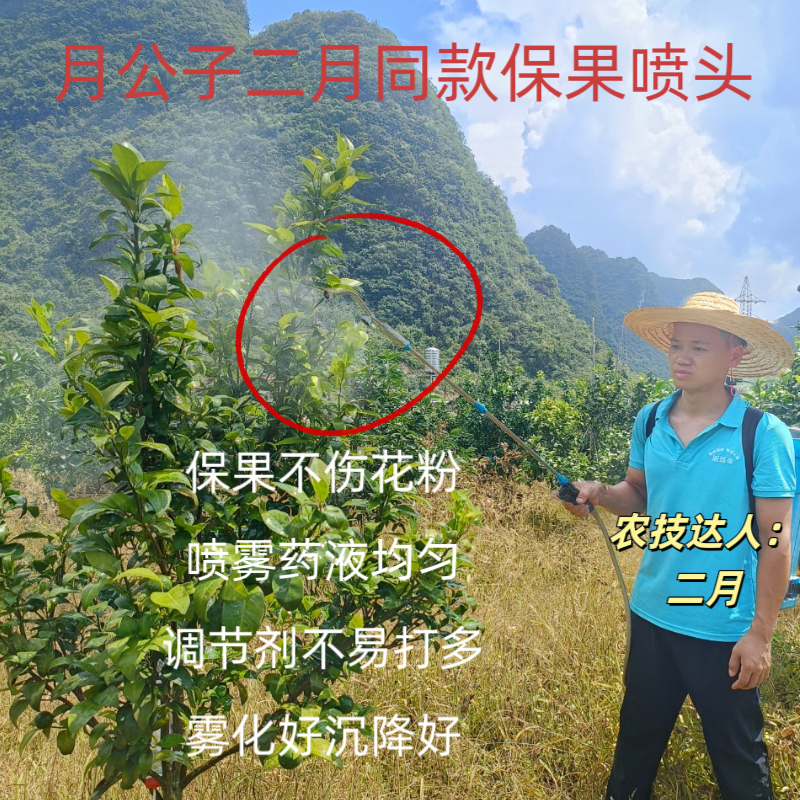 月公子二月同款保果专用喷头，高雾化不伤花粉幼果 农机/农具/农膜 高压水枪 原图主图