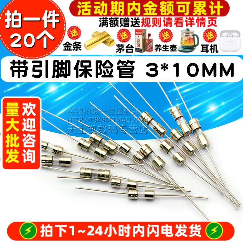 带引脚保险丝管3*10MM