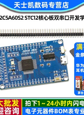 51单片机 小系统板 STC12C5A60S2 STC12核心板双串口开发板学习板