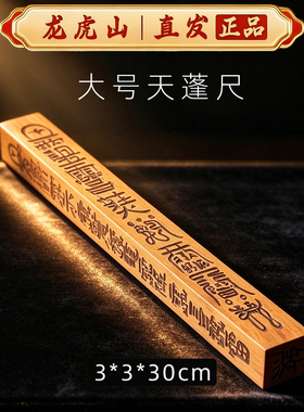 龙虎山雷击枣木道家天蓬尺法器