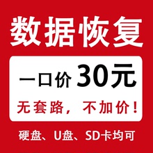 电脑移动硬盘数据恢复人工服务内存sd卡文件视频照片找回U盘修复