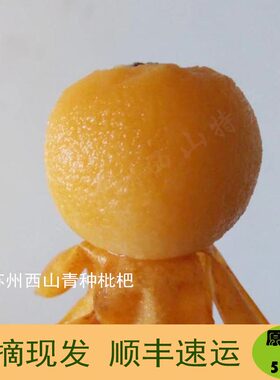 新鲜水果青种枇杷5斤农户自种
