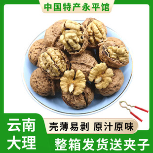 云南薄皮核桃 零食坚果干果 2025年新货原味薄壳大树核桃