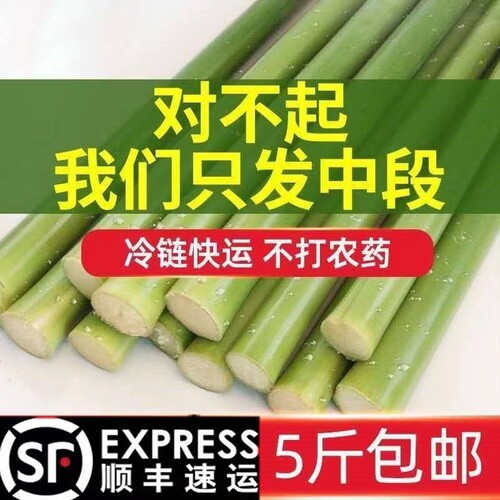 甜杆小甘蔗新鲜甜芦粟芦穄路基甜高粱杆芦稷甜梭甜高粱杆甘蔗顺丰