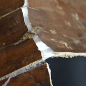 野生老树杜仲厚皮 包邮 深山雄花泡酒泡茶中药材 250g买2份